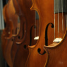 Фото Концерт «Времена года» Вивальди и Ave Maria. Шедевры классики