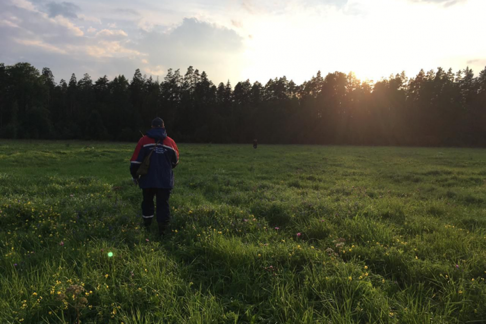 Российский подросток захотел срезать путь из школы и застрял в болоте