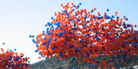 В Петербурге могут запретить запускать воздушные шары