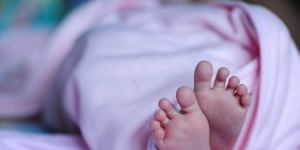 В 2023 году в Ленобласти родилось более 12 тыс. малышей