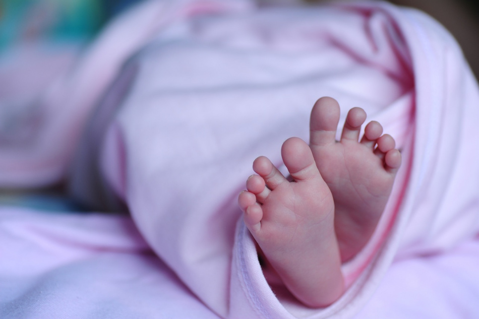 В 2023 году в Ленобласти родилось более 12 тыс. малышей