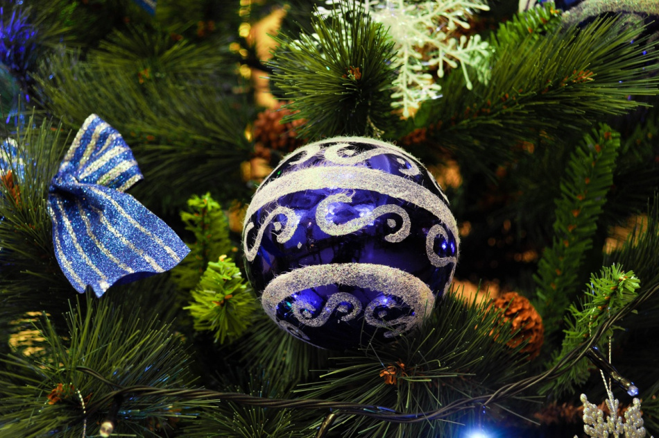 В Петербурге запустили эко-сбор живых новогодних елок
