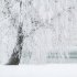 Петербуржцам пообещали снежный Новый год