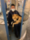«Поможем вернуться домой»: в петербургском метро потерялся рыжий пес, хозяина ищут