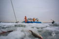 Со льда Финского залива эвакуировали двоих рыбаков и собаку 
