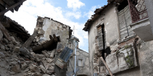 В Турции из-под завалов, спустя 49 дней после землетрясения, достали кота по кличке Хан