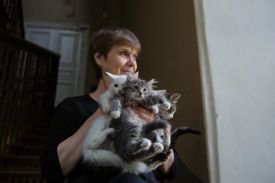 Администрация Зеленоградска подарила эрмитажным котам копию «Дома с драконами»