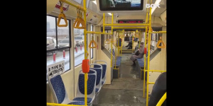 Петербуржцам понравился новый бесплатный трамвай