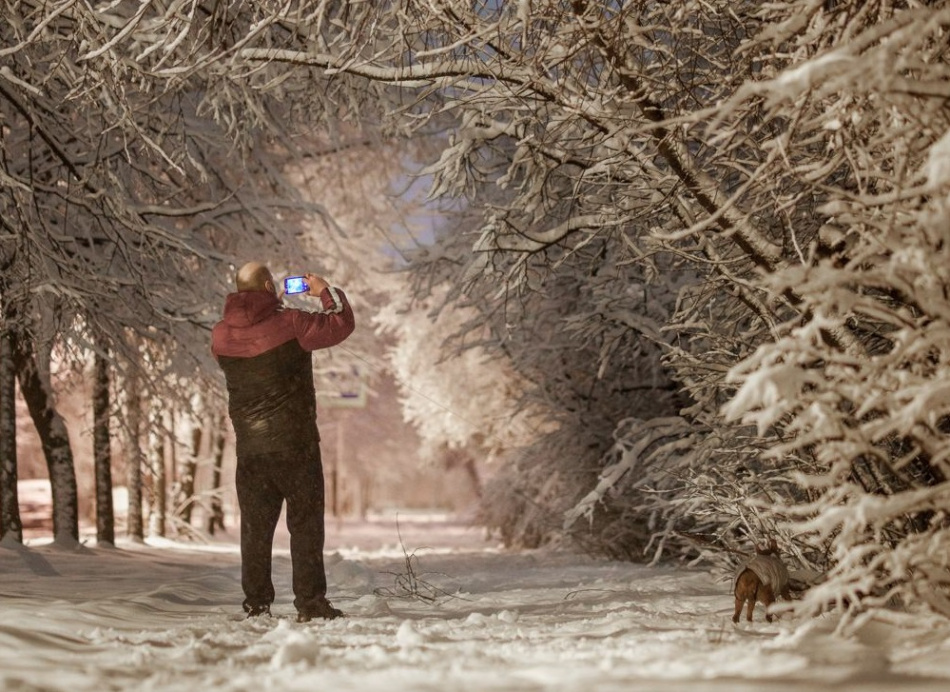 Вот это сюрприз: ночной снегопад окутал зимней сказкой весенний Петербург