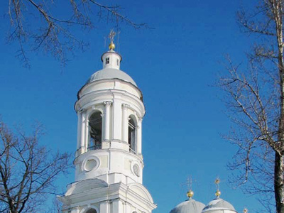 Фото Праздник Вербное Воскресенье 2023 в Князь-Владимирском соборе
