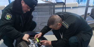 Контрабандиста из Финляндии поймали с сотней пачек сигарет в колесах