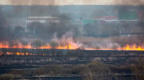 Настоящий апокалипсис: Колпино заволокло дымом из-за горящей травы