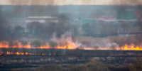 Настоящий апокалипсис: Колпино заволокло дымом из-за горящей травы
