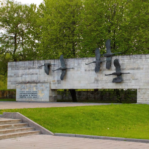 Возложение цветов на Невском мемориальном кладбище "Журавли"