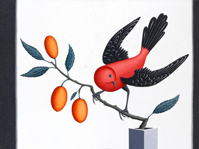 Фото Выставка Марии Снигиревской Птицы мира