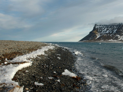 Фото Игра-викторина Открываем Арктику