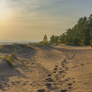 День города Комарово 2023