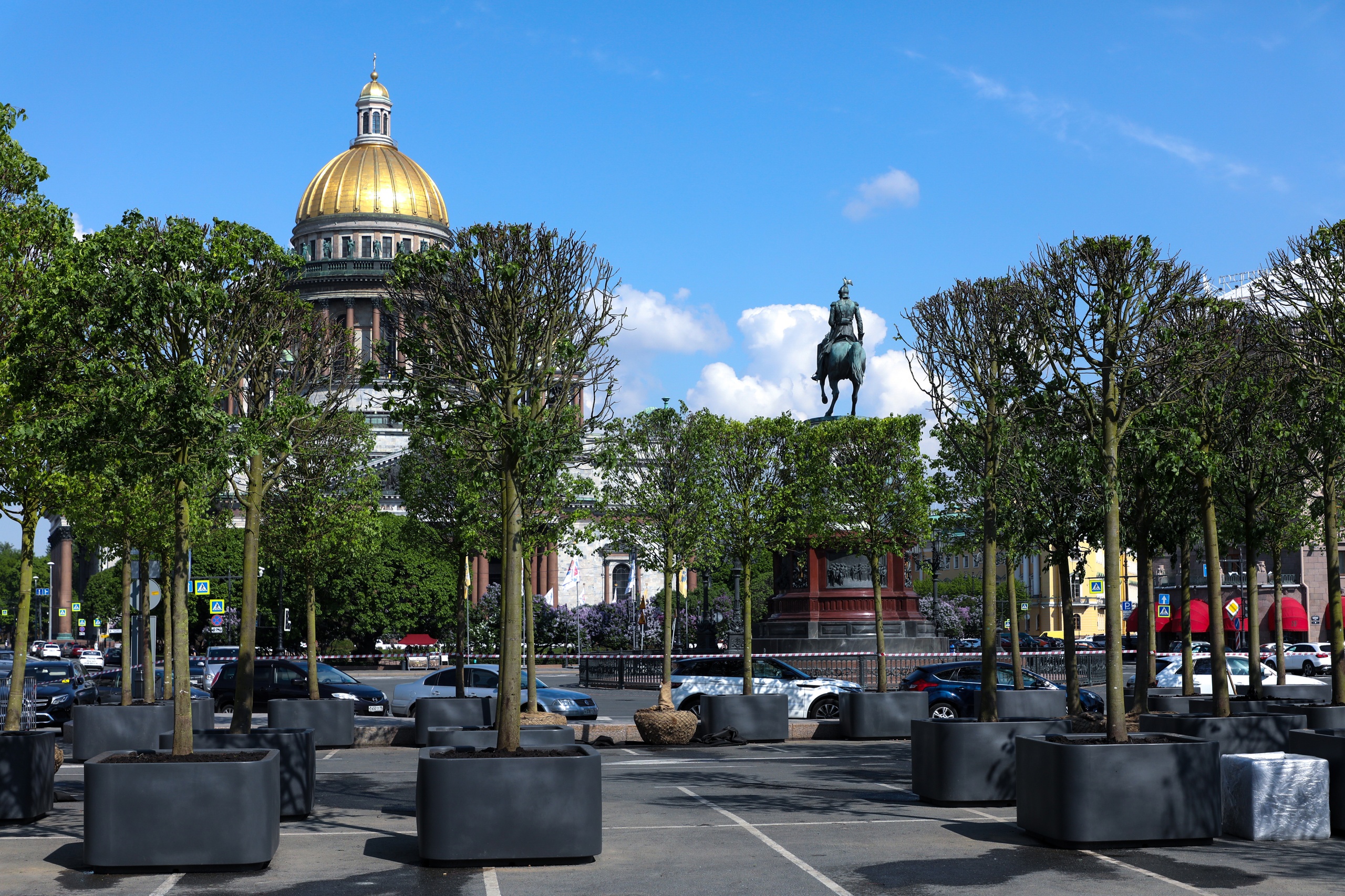 Ко Дню города Синий мост в Петербурге превратится в сады