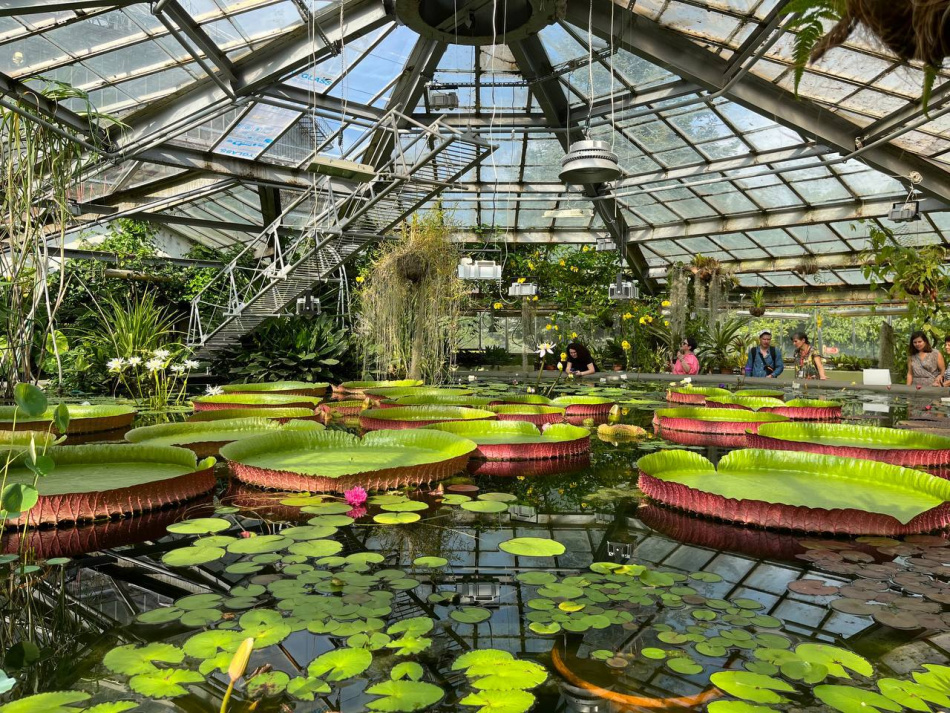 Водная оранжерея откроется в Ботаническом саду в Петербурге