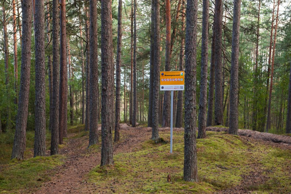 Бесплатная экскурсия пройдет по экомаршурту «Ладожские берега»