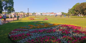 В День России в Александровском саду открыли Фестиваль цветов