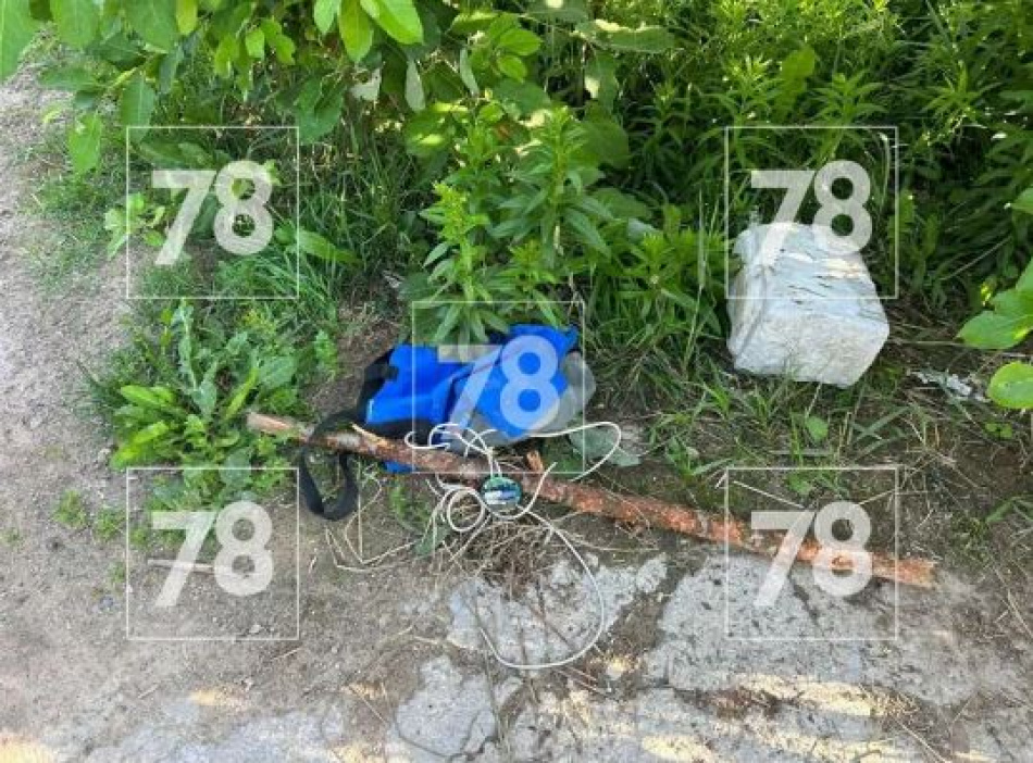Собачники увидели в Мурино сумку с проводами и вызвали саперов