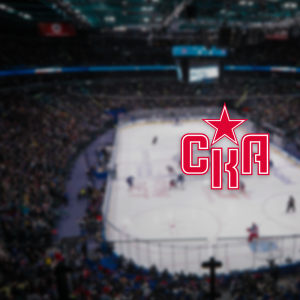 Абонемент "Стандарт 23/24" на хоккейные матчи СКА