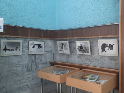 Фото Фотовыставка Здесь одни пингвины прежде жили