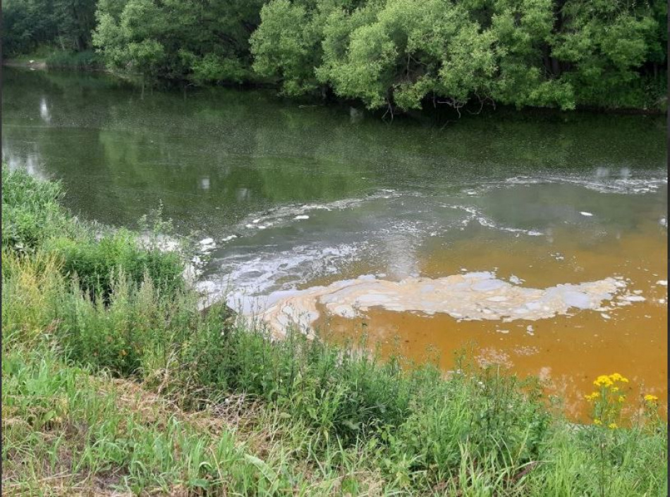 Река Ижора в Колпино стала оранжевой от загрязнений