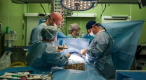 Хирурги из Петербурга прооперировали сердце сироте из Луганска