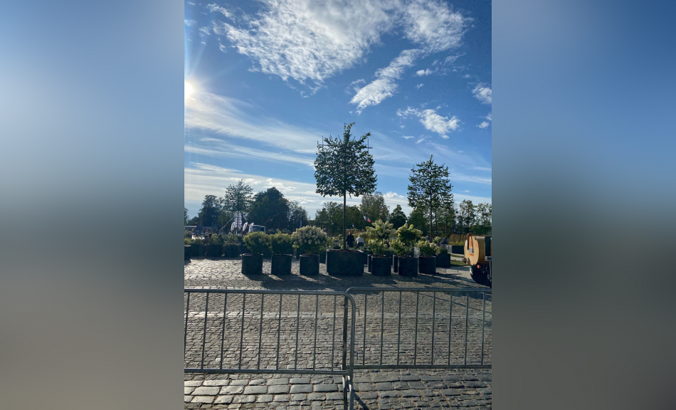 Сад-трансформер открыли в Кронштадте ко Дню ВМФ