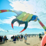Фото XI Фестиваль воздушных змеев Летать легко! 2023
