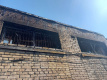 При пожаре в приюте для животных на Ржевке погибли четыре собаки 