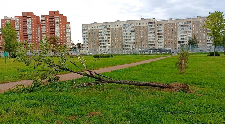 Комитет по благоустройству Петербурга просит быть аккуратнее из-за непогоды