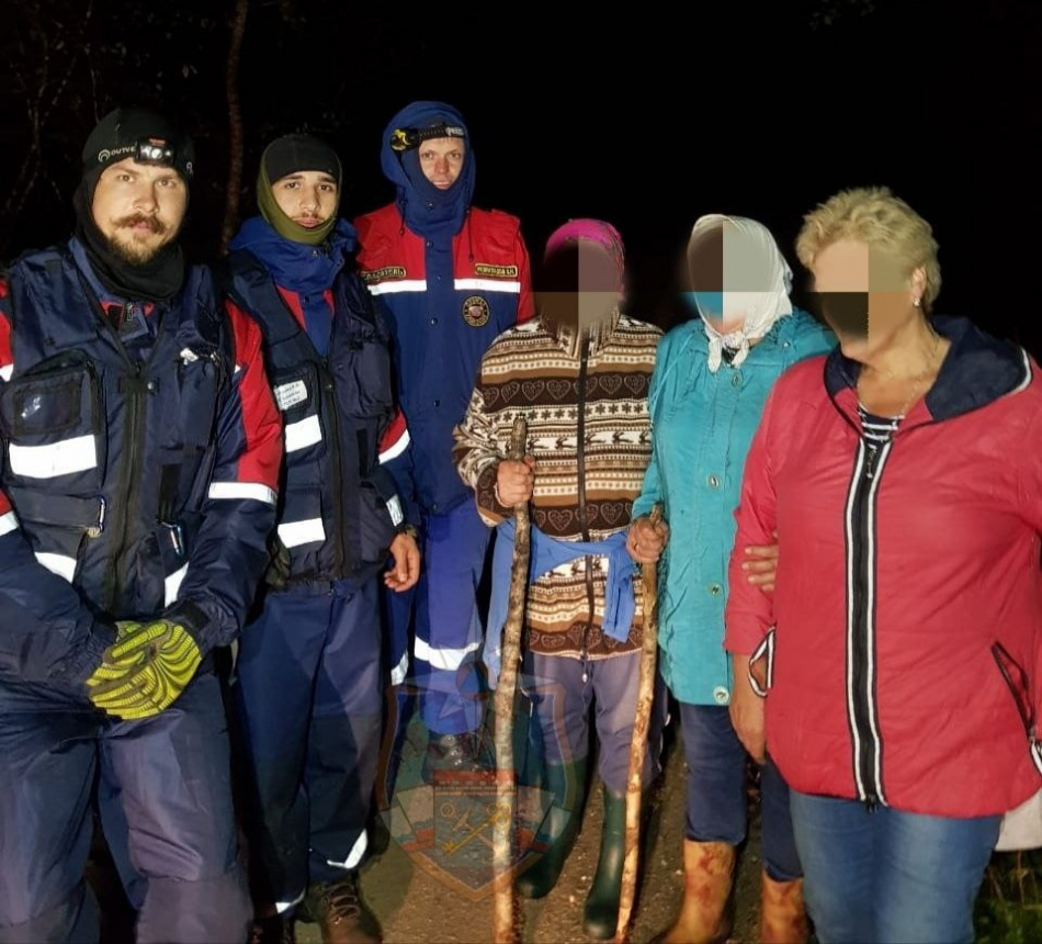 Три пожилые женщины заблудились в лесу в Волосовском районе