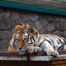 Фото Экомарафон в Ленинградском зоопарке Мы чистим мир