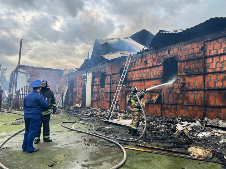 Стала известна причина крупного пожара в конюшне во Всеволожске