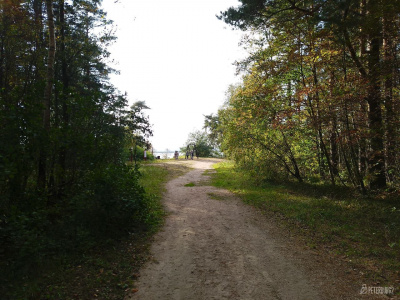 Фото Курголовская