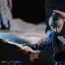 Фото Шестой независимый онлайн-фестиваль театров кукол Кукольный остров