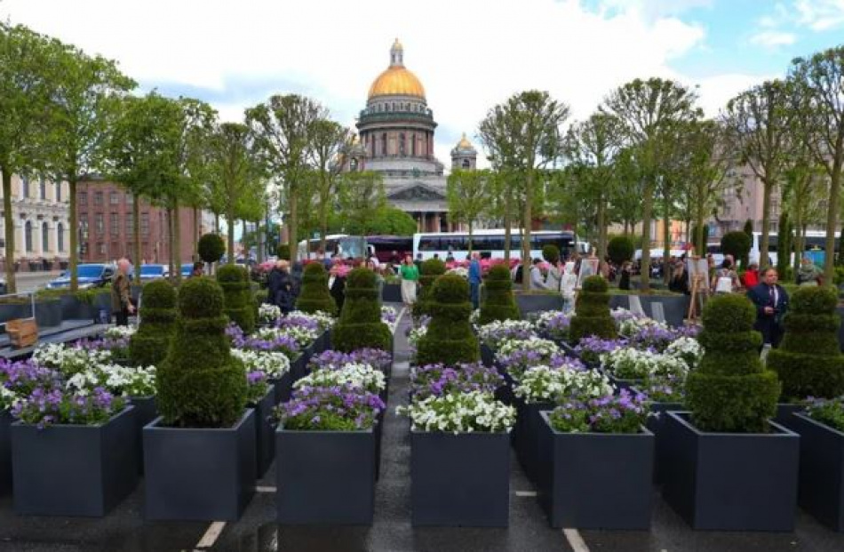 Весной Синий мост в Петербурге украсит сад-трансформер 
