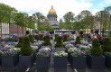 Сад-трансформер с Исаакиевской площади переедет в петербургские скверы