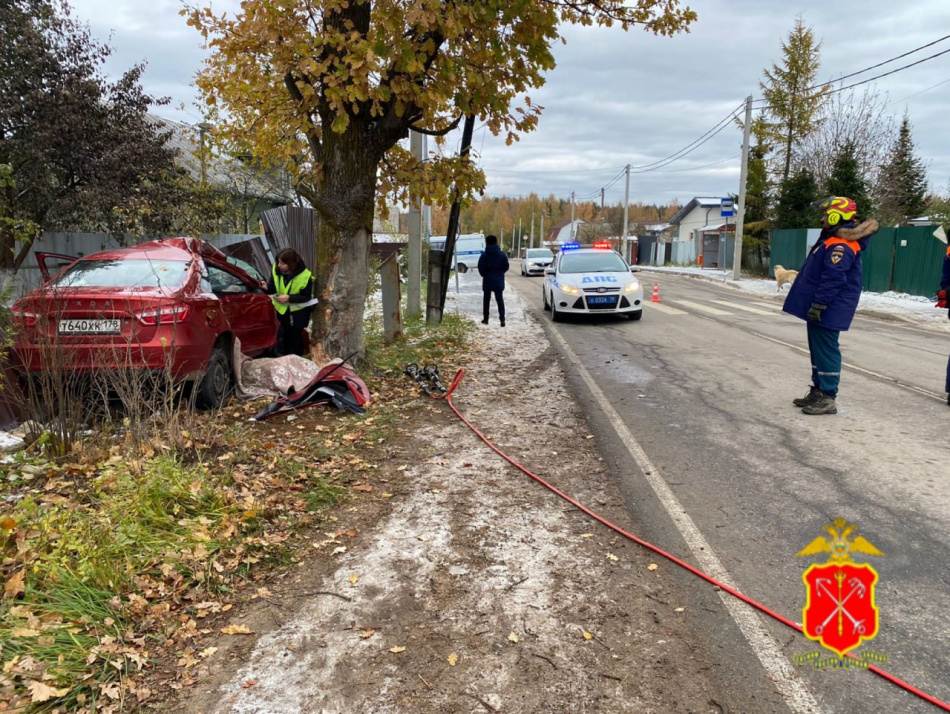 В деревне Лангерево Lada Vesta влетела в дерево и забор: на месте погибли двое