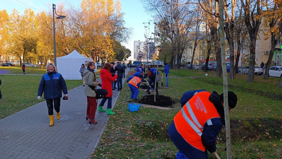 Осенью в Петербурге посадили  376 деревьев и 900 кустарников