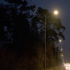 В Петербурге осветили особо темные участки Горского и Левашовского шоссе