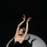 Фото Концерт Christmas балет-гала: Денис Родькин и друзья