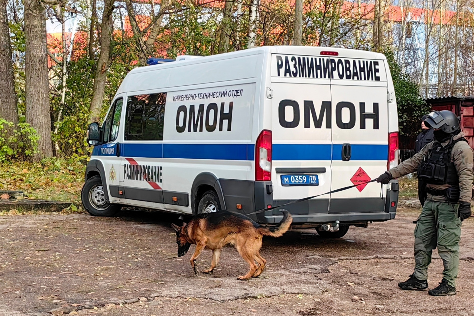 Несколько подозрительных предметов обнаружили на территории Петербурга