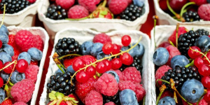 В марте на территорию Петербурга поступило более 50 тыс. тонн фруктов