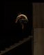 Фото Реверс (TheatreHD)