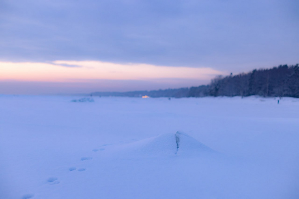 Сказочные пейзажи: Берег Финского залива покрылся ледяной скорлупой