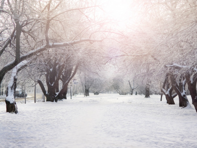 Фото Интерактивная программа Приморский зимой